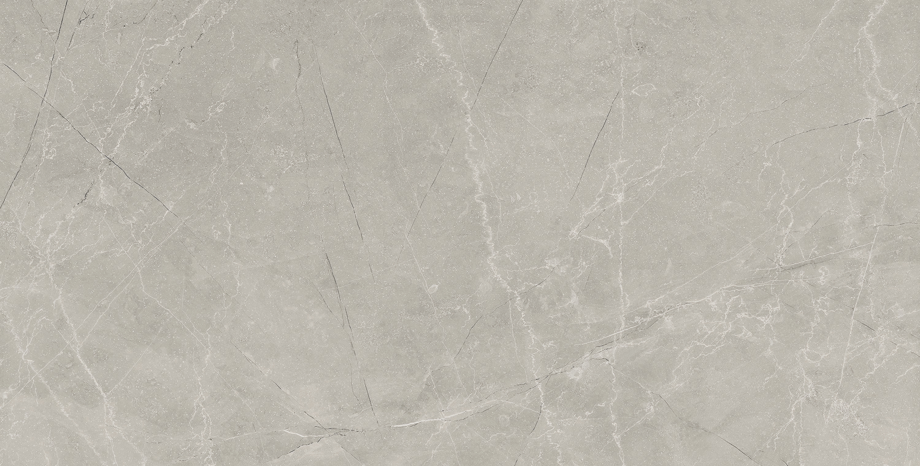BAYONA SILVER PULIDO RECTIFICADO - 60X120
