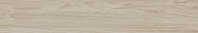 FERRIERE FAGGIO - 20X120