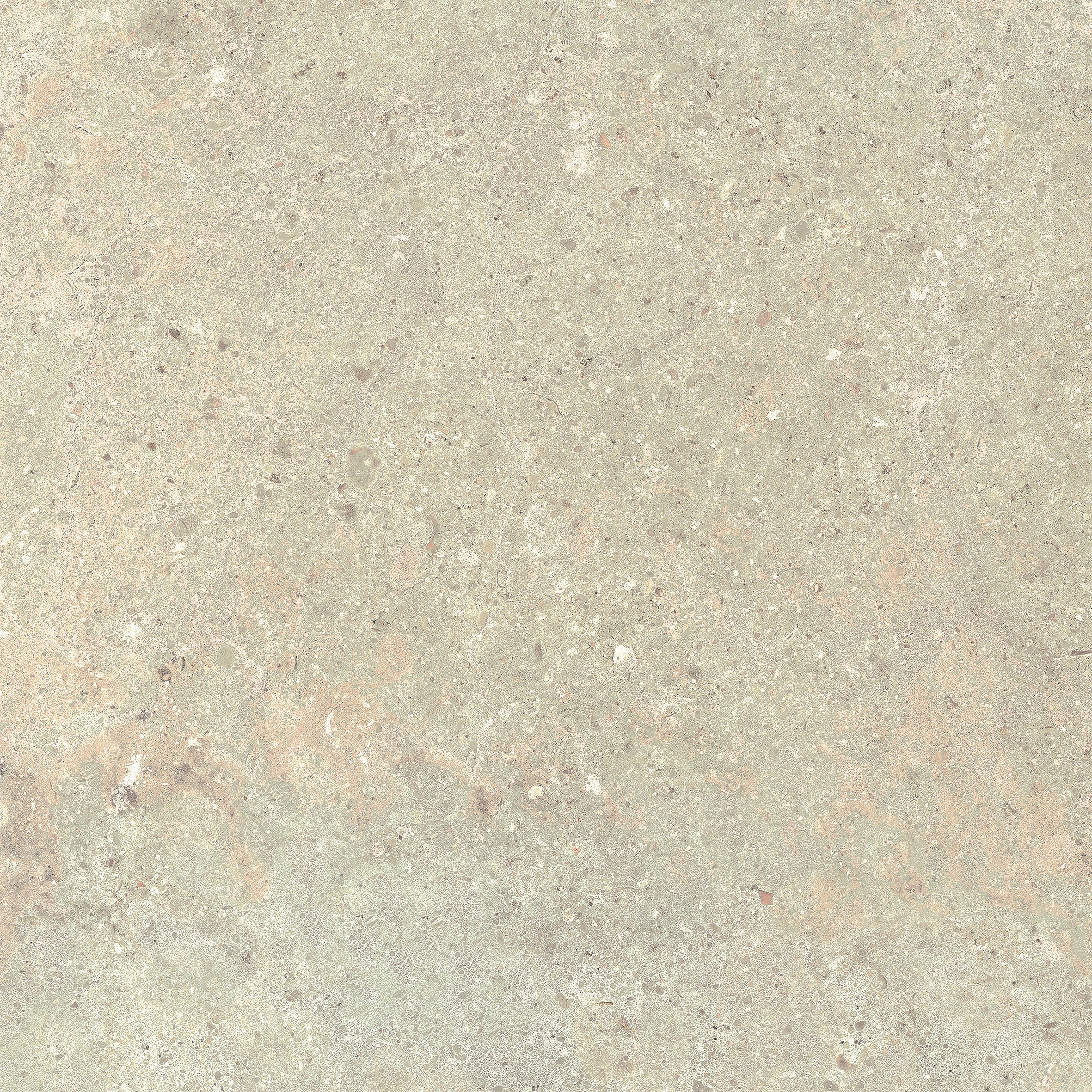 STONELAND IVORY RECTIFICADO - 60X60 RECT.