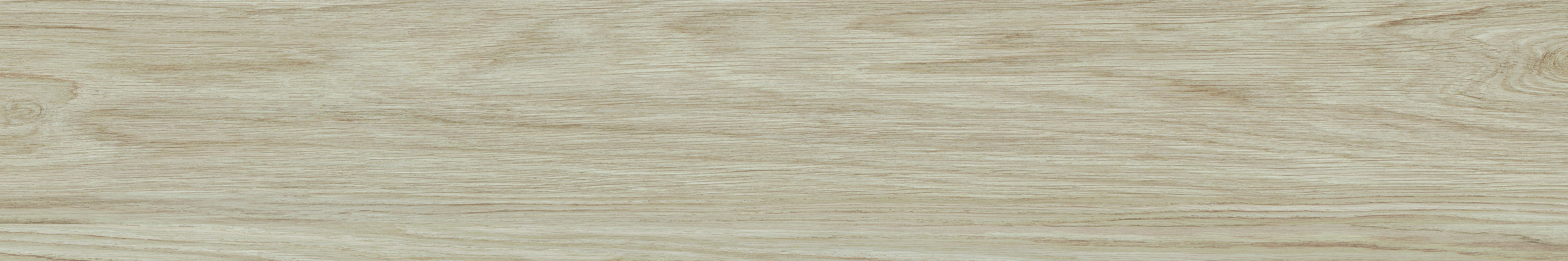 FERRIERE FAGGIO - 20X120