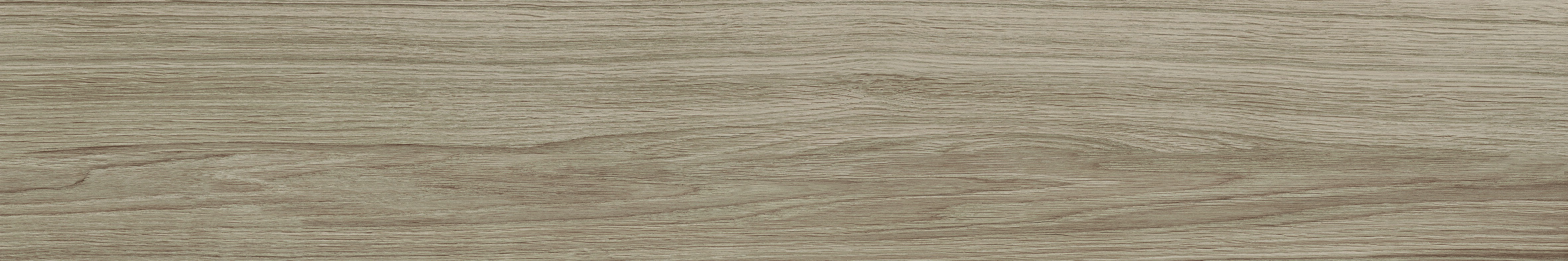 FERRIERE QUERCIA - 20X120