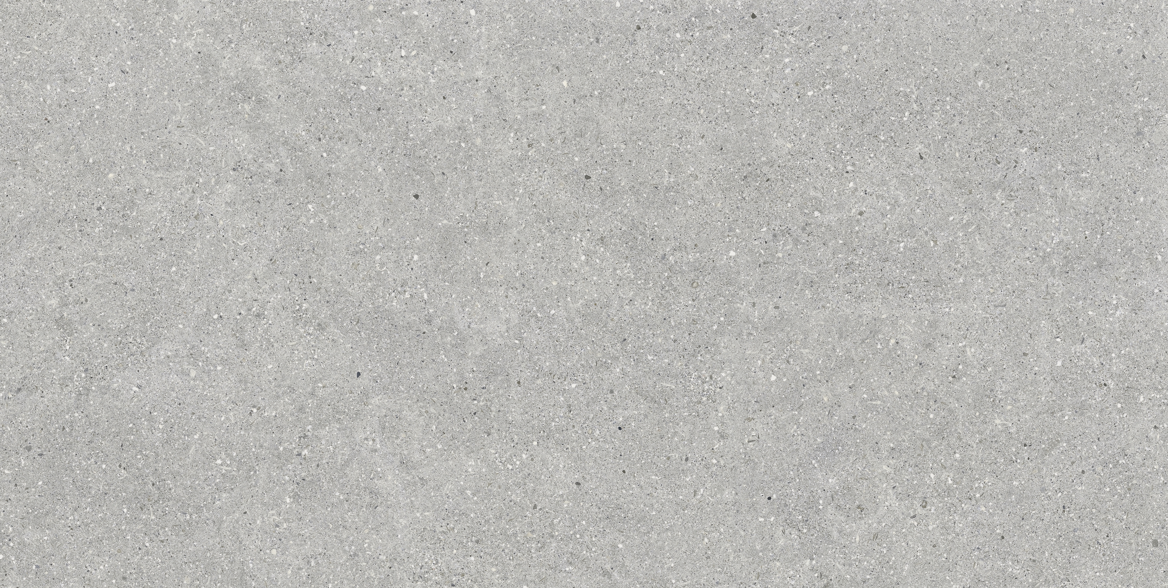 BRUNSWICH ACERO RECTIFICADO - 60X120
