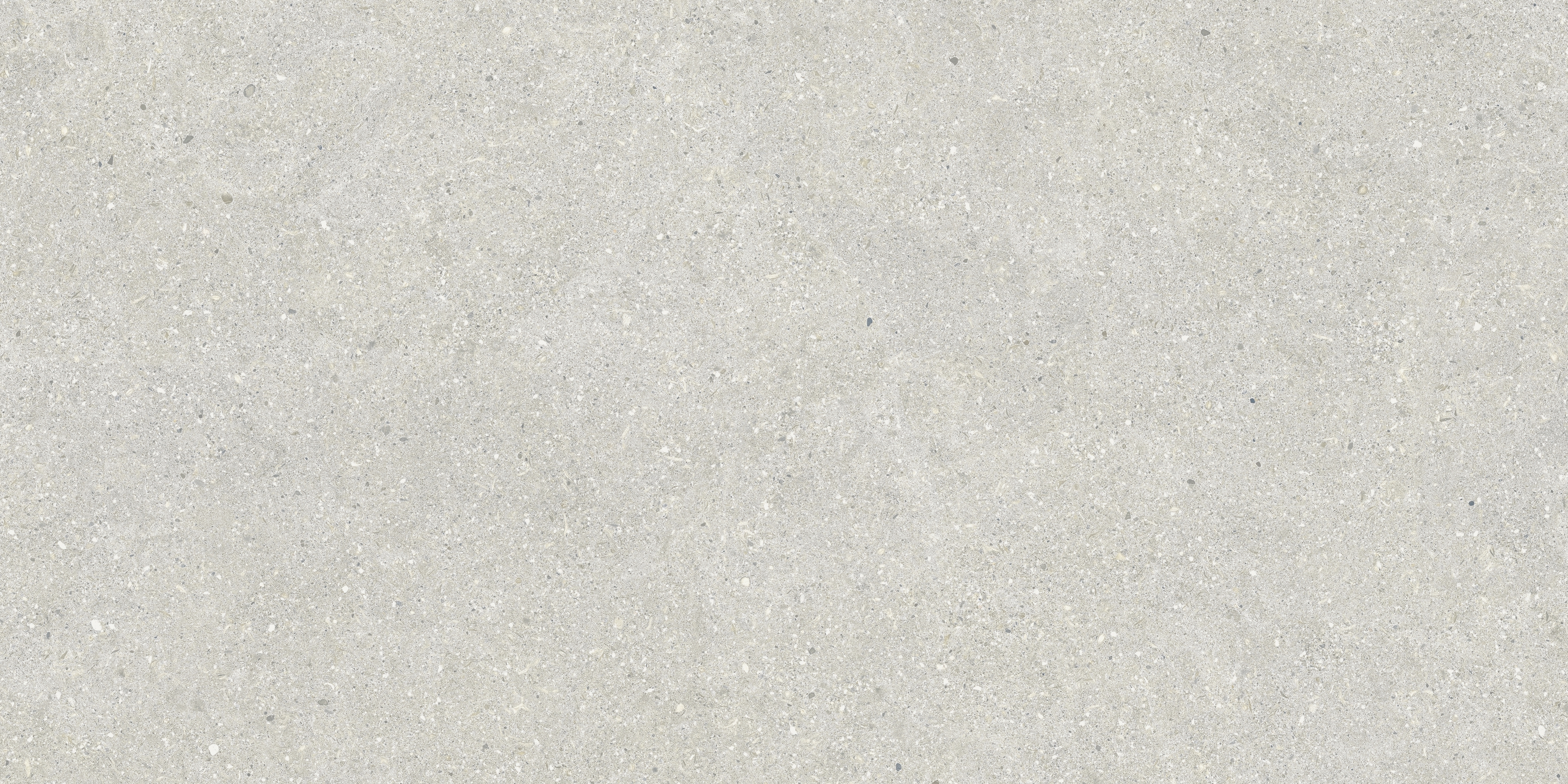 BRUNSWICH CENIZA RECTIFICADO - 60X120