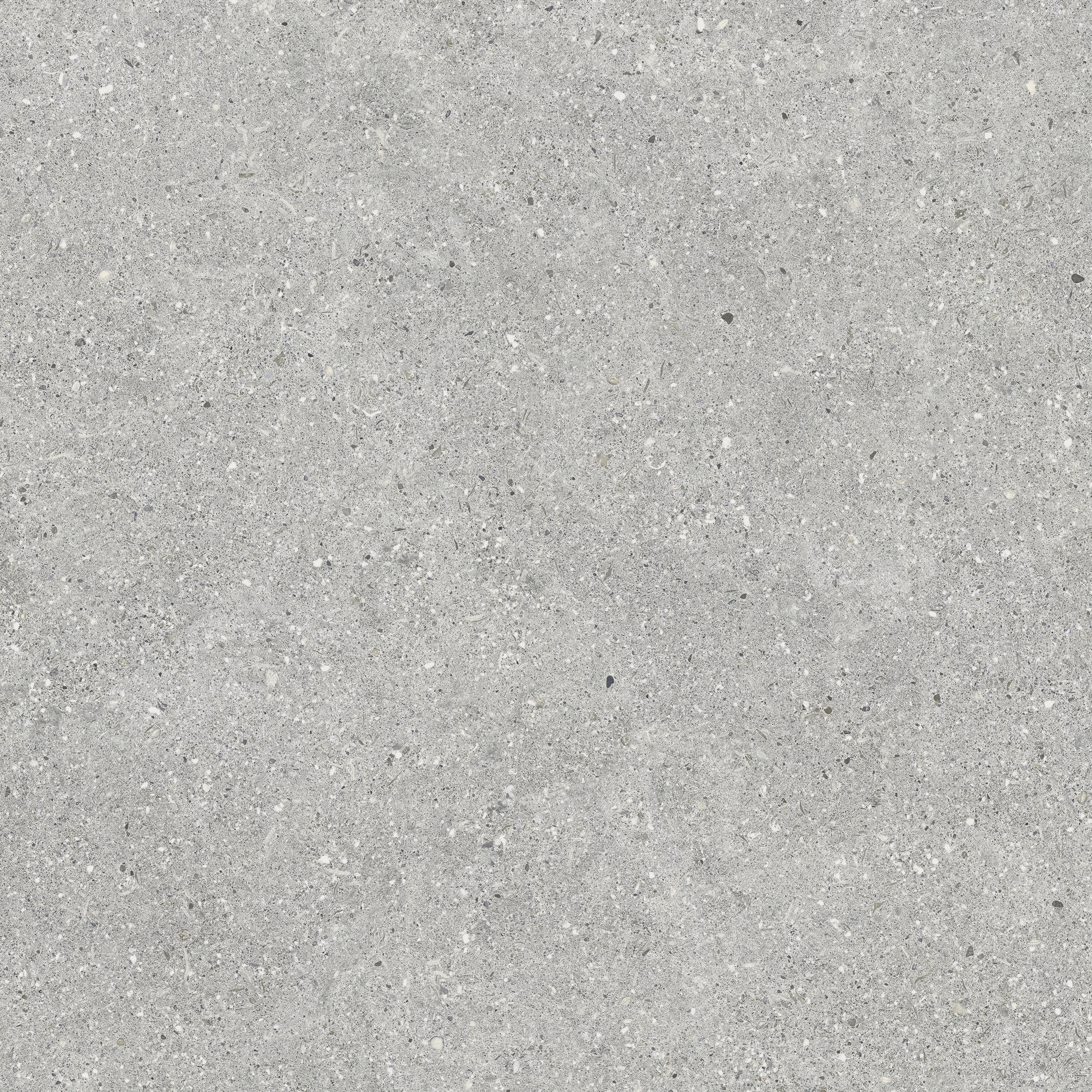BRUNSWICH ACERO RECTIFICADO - 60X60 RECT.