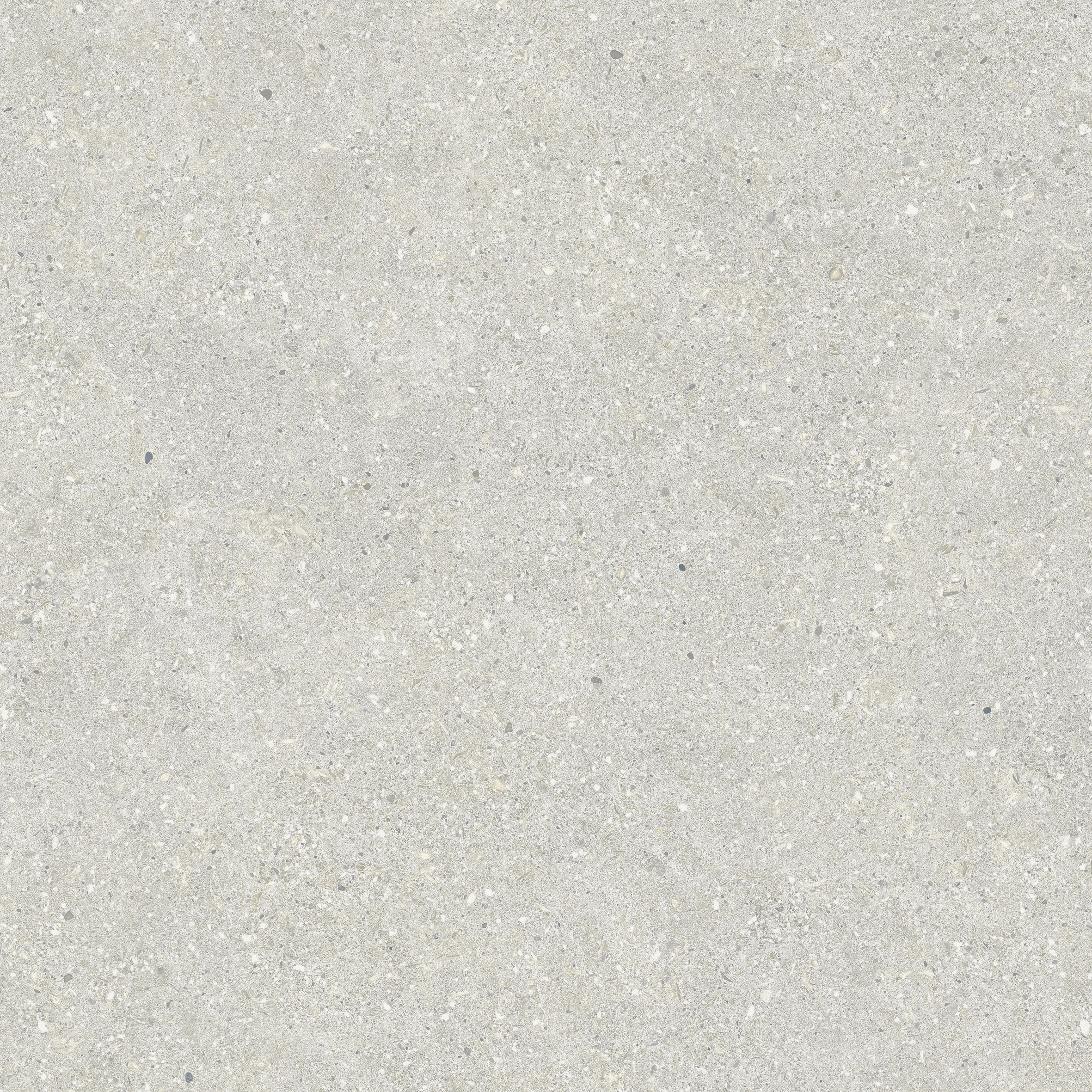 BRUNSWICH CENIZA RECTIFICADO - 60X60 RECT.