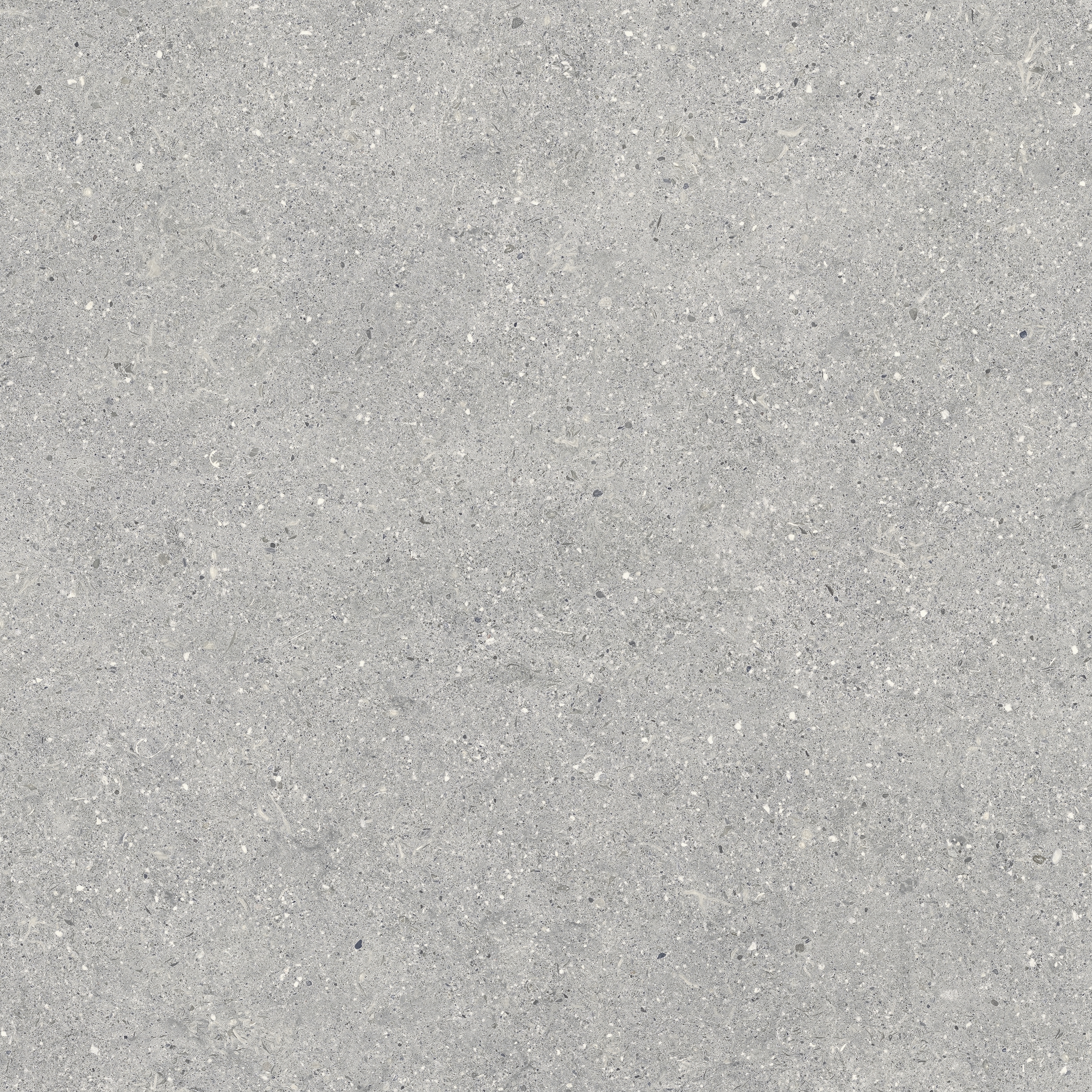 BRUNSWICH ACERO RECTIFICADO - 80X80 RECT.