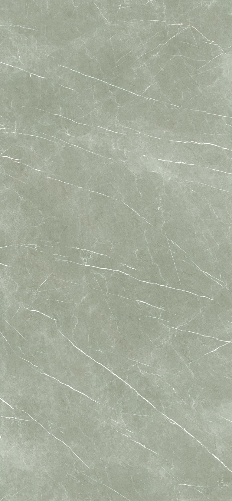 ETERNAL TAUPE PULIDO - 120X260