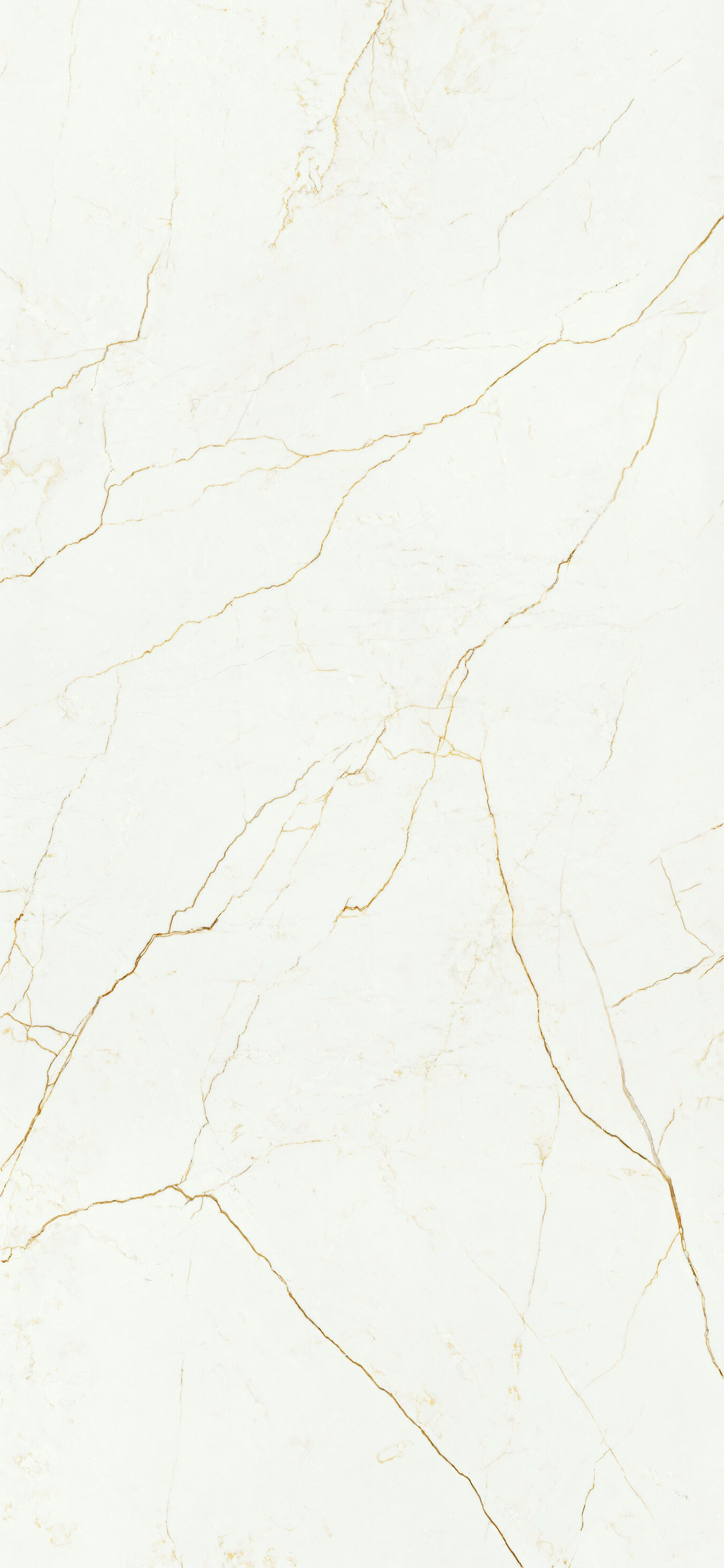 QUANTUM NATURAL - 120X260