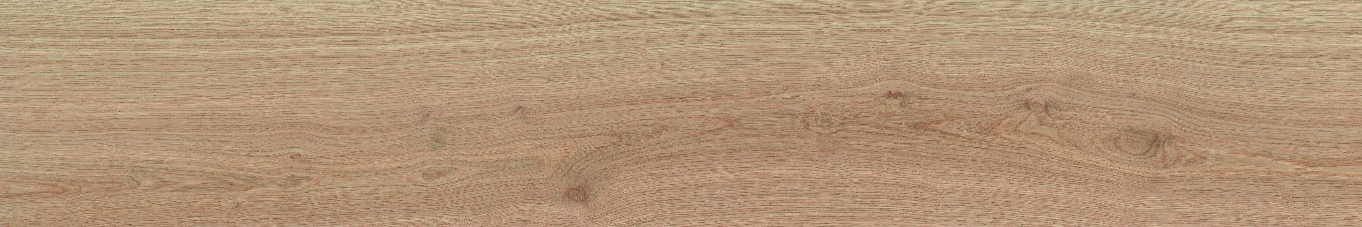 SEQUOYA ALMOND RECTIFICADO - 20X120