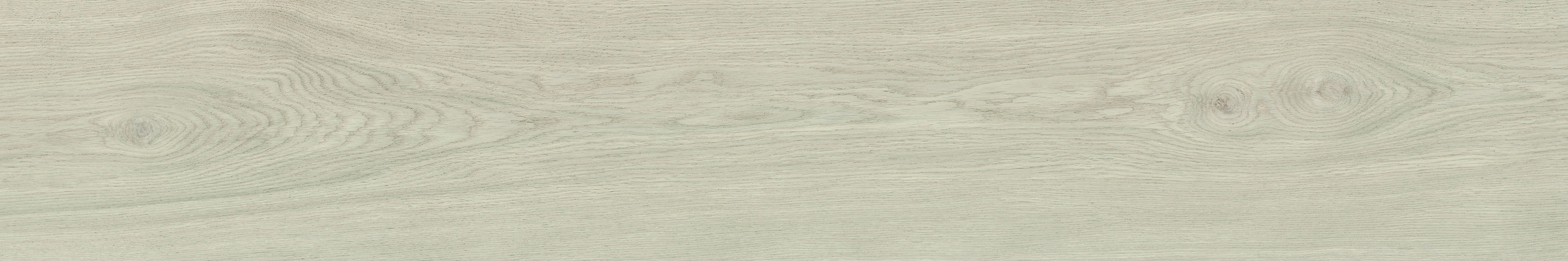 SEQUOYA MAPLE RECTIFICADO - 20X120
