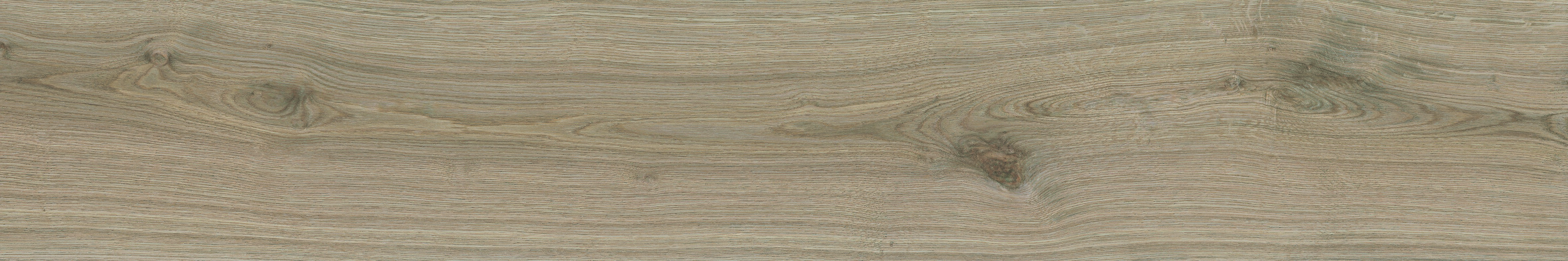 SEQUOYA OAK RECTIFICADO - 20X120