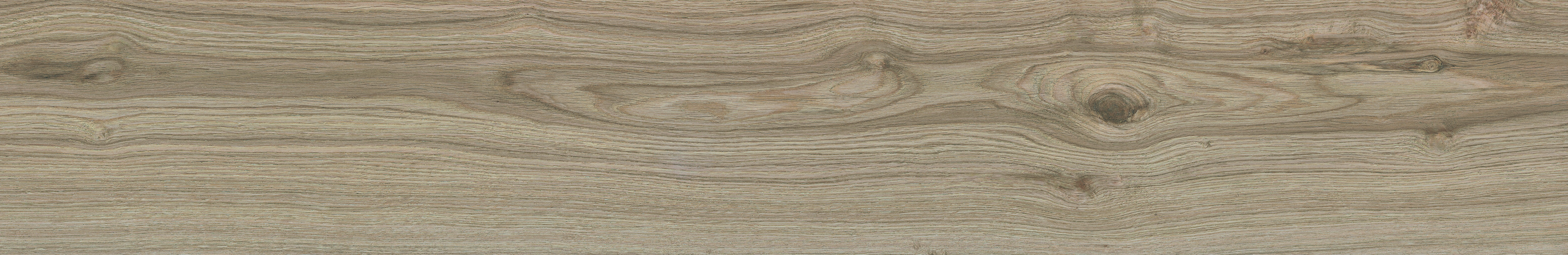 SEQUOYA OAK RECTIFICADO - 26X160
