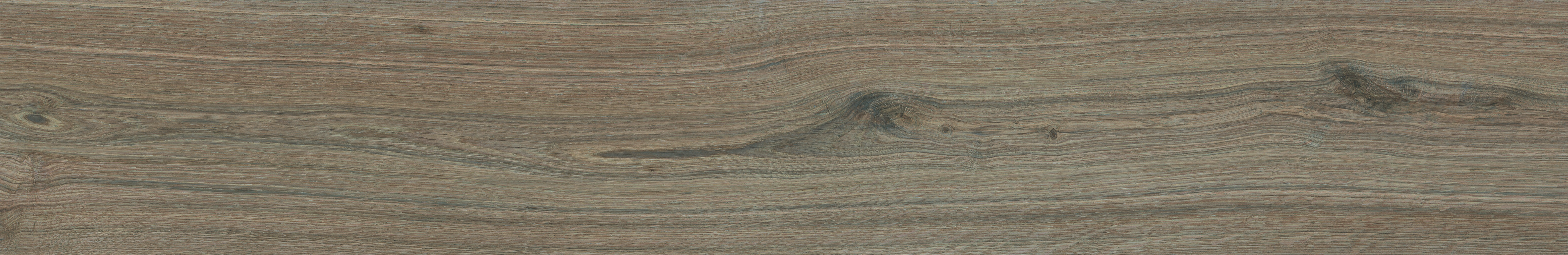 SEQUOYA WALNUT RECTIFICADO - 26X160