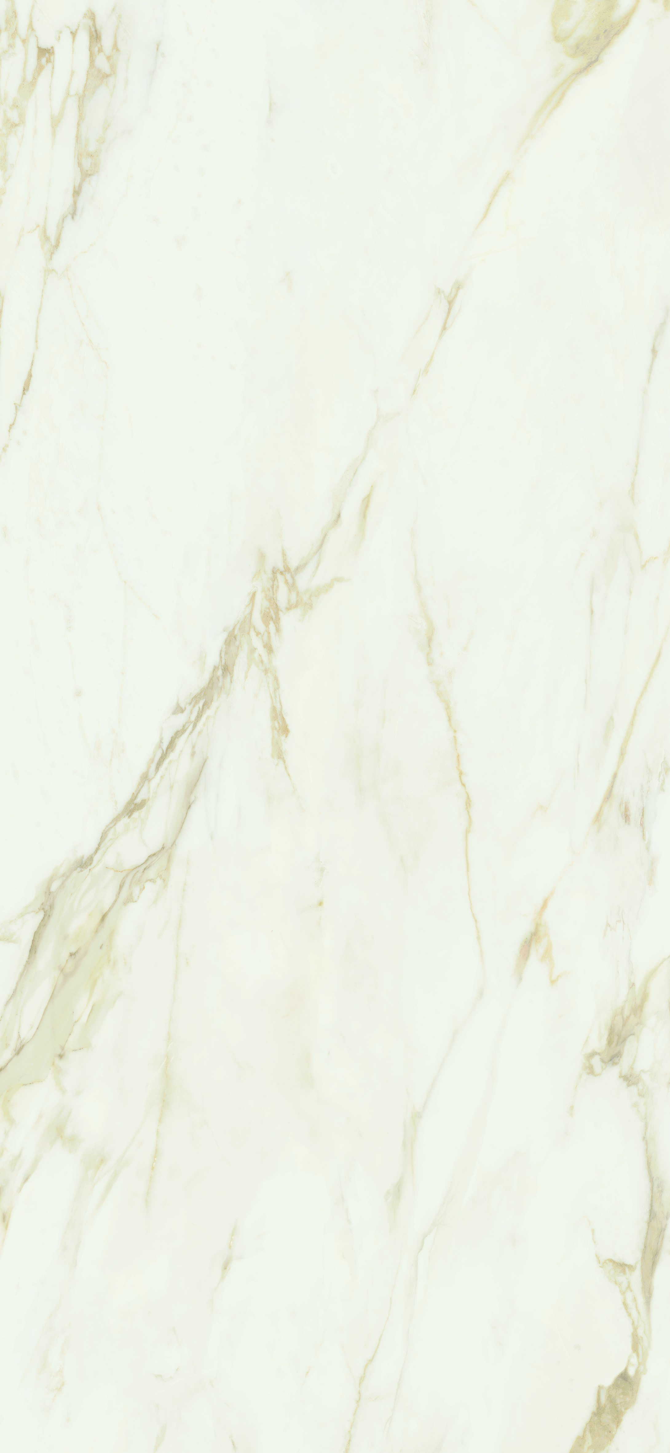 ADAGGIO GOLD PULIDO - 120X260