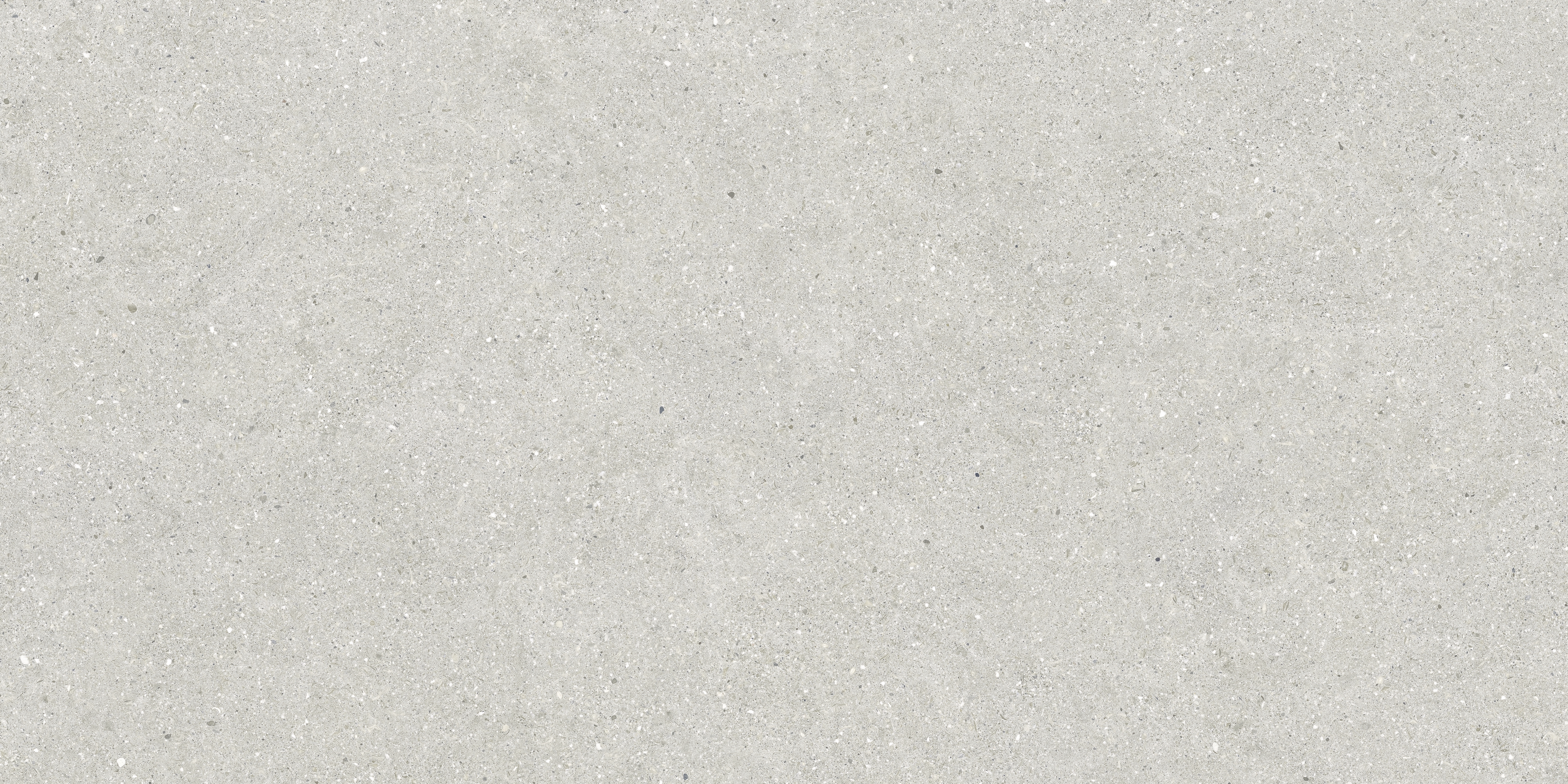 BRUNSWICH CENIZA RECTIFICADO - 80X160