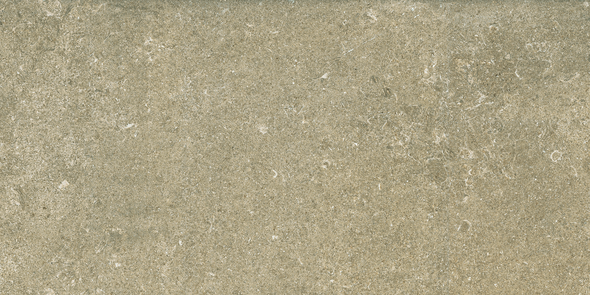 【美品】BLANC.. BM012 TAUPE/L.GRY 52365-06906_02_720x.jpg?v=