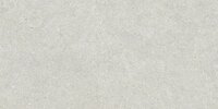 BRUNSWICH CENIZA RECTIFICADO - 60X120