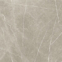 ETERNAL TAUPE PULIDO - 120X120