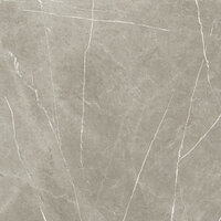 ETERNAL TAUPE NATURAL - 120X120