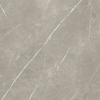 ETERNAL TAUPE NATURAL RECTIFICADO - 80X80 RECT.