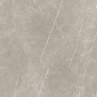 ETERNAL TAUPE PULIDO RECTIFICADO - 80X80 RECT.