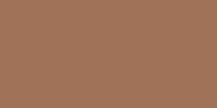 MONTMARTRE TERRE RECTIFICADO - 60X120 PBR