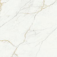 VERBIER PULIDO RECTIFICADO - 120X120