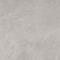 BAYONA SILVER NATURAL - 120X120