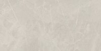 BAYONA SILVER NATURAL RECTIFICADO - 60X120