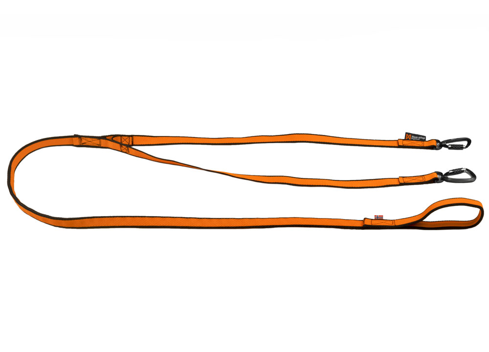 Bungee Leash Double