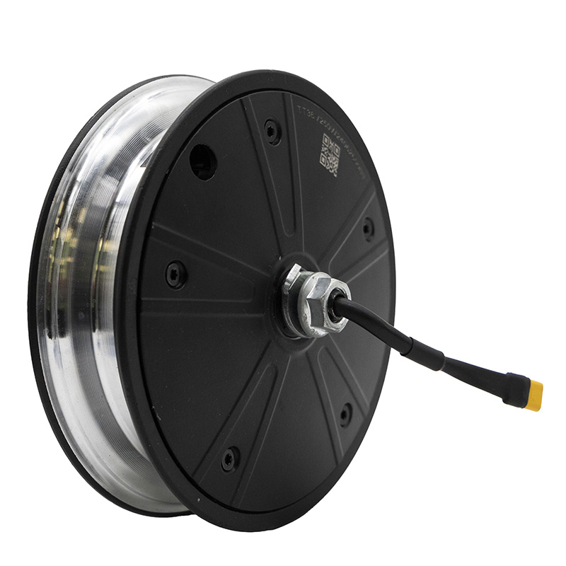 motor 36v 250W original Wispeed T850 - RuedaQrueda