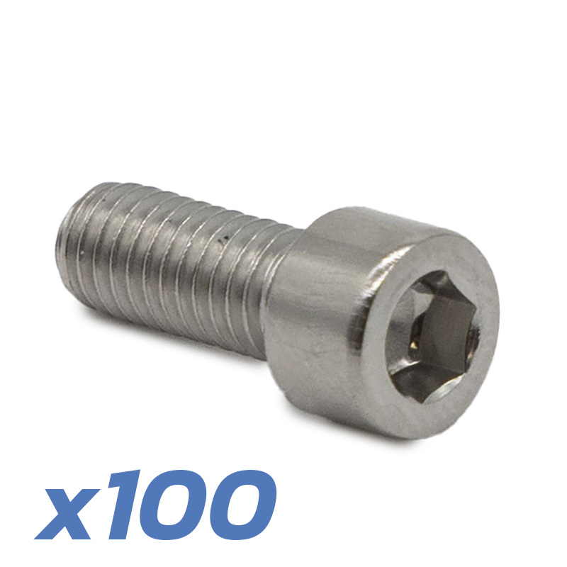 Tornillos guardabarro Dualtron 100 uds - RuedaQrueda