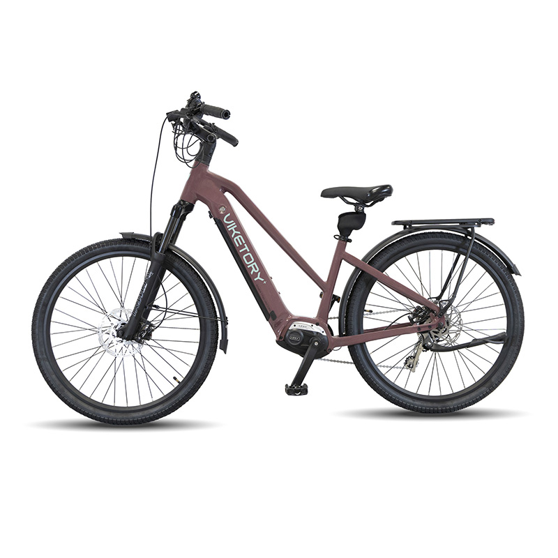 ARENOX ebike URBAN Cobre - RuedaQrueda