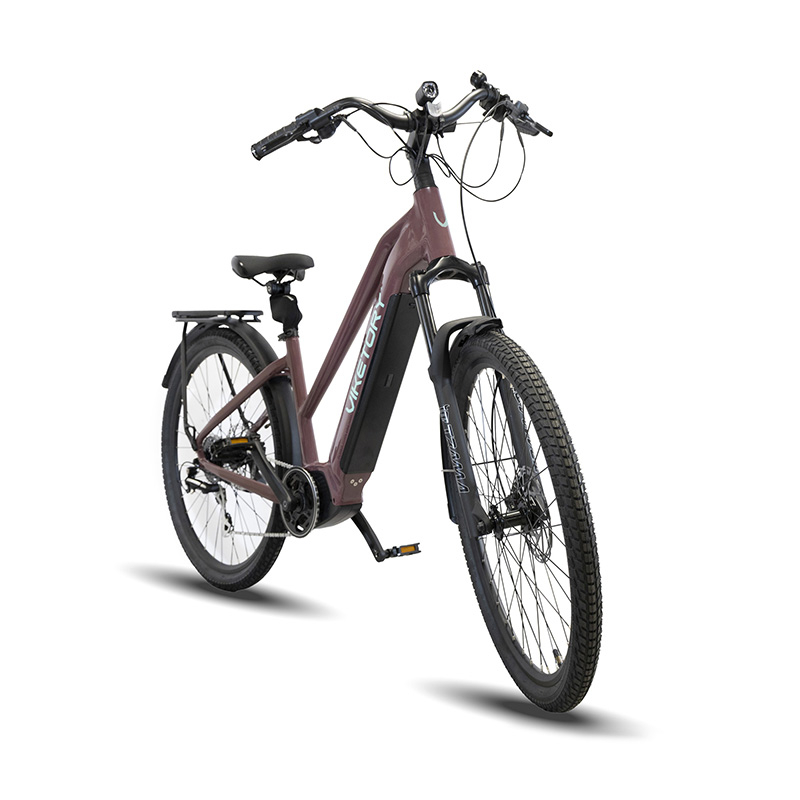 ARENOX ebike URBAN Cobre - RuedaQrueda