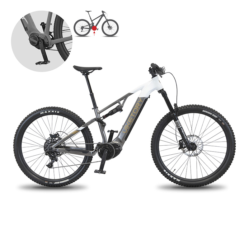 TERRAM ebike MTB Gris/Blanco - RuedaQrueda