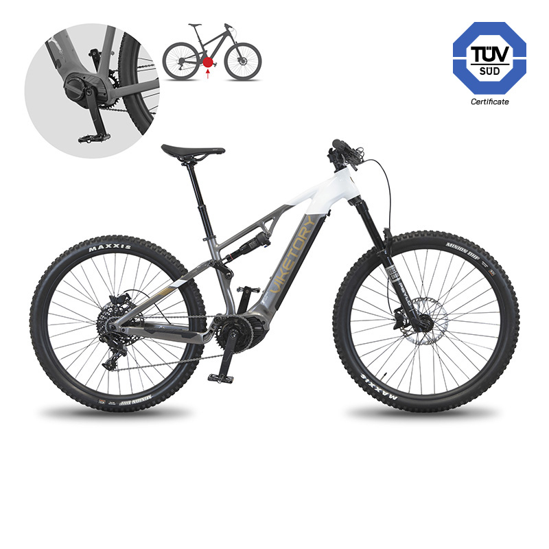 TERRAM ebike MTB Gris/Blanco - RuedaQrueda