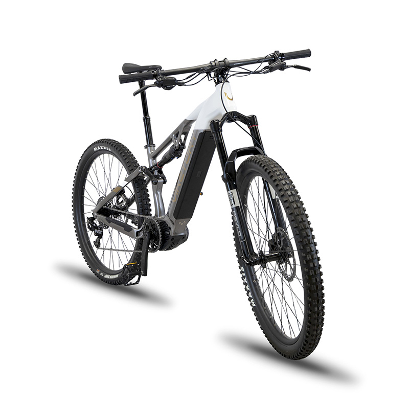 TERRAM ebike MTB Gris/Blanco - RuedaQrueda