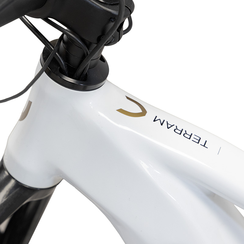 TERRAM ebike MTB Gris/Blanco - RuedaQrueda