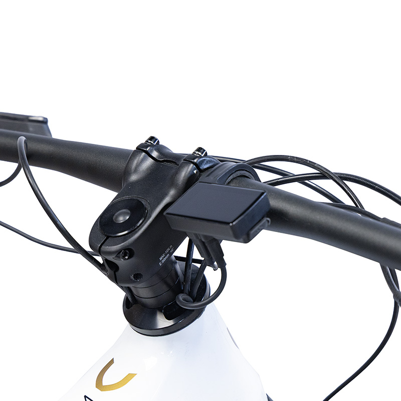 TERRAM ebike MTB Gris/Blanco - RuedaQrueda