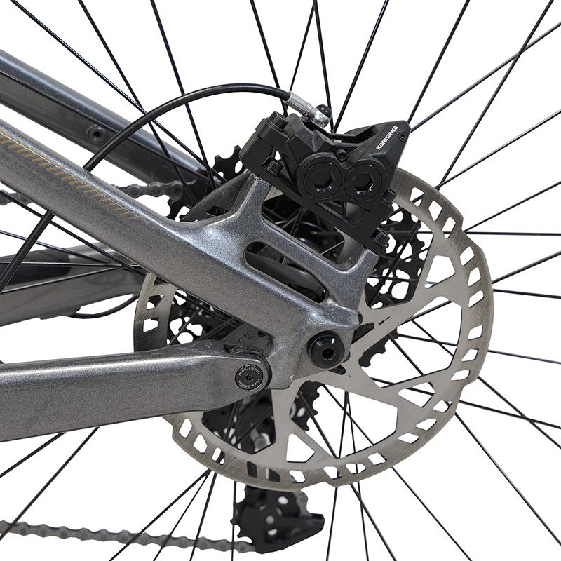 TERRAM ebike MTB Gris/Blanco - RuedaQrueda