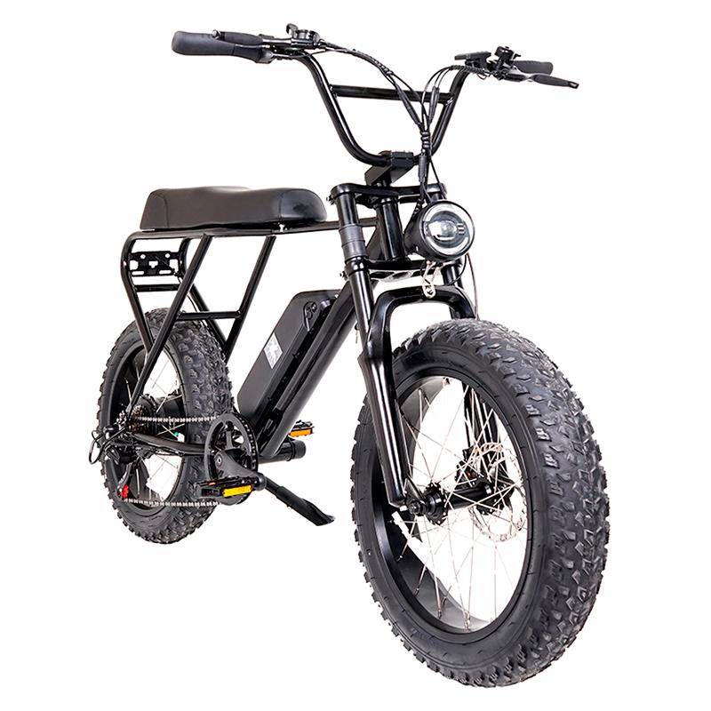 Fat ebike eléctrica M20X negra 20" con frenos de disco