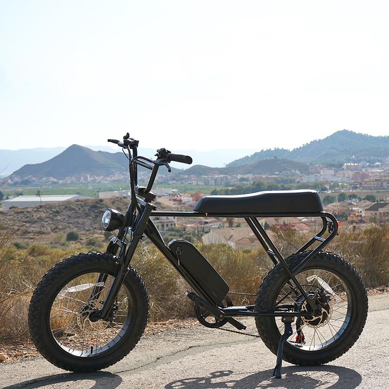 Fat ebike eléctrica M20X negra 20" con frenos de disco
