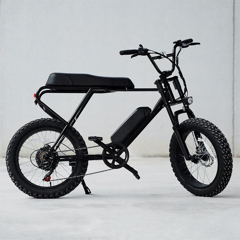Fat ebike eléctrica M20X negra 20" con frenos de disco