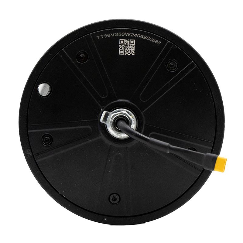 motor 36v 250W original Wispeed T850 - RuedaQrueda