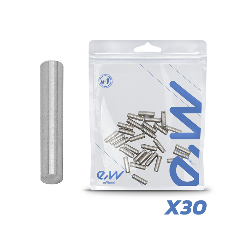 Goupille de charnière V1 Dualtron – lot de 30 unités