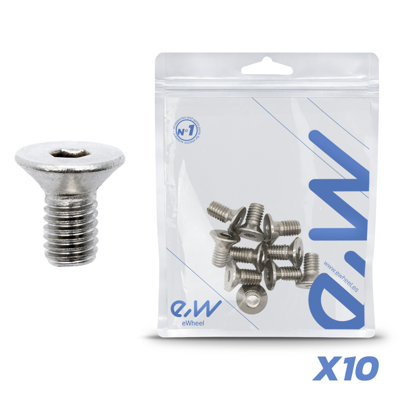 Vis inox charnière dualtron 10 pcs