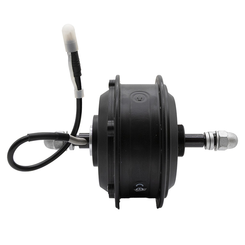 Motor 29" 250w 42Nm ROKTAR/ZEPHIR - RuedaQrueda