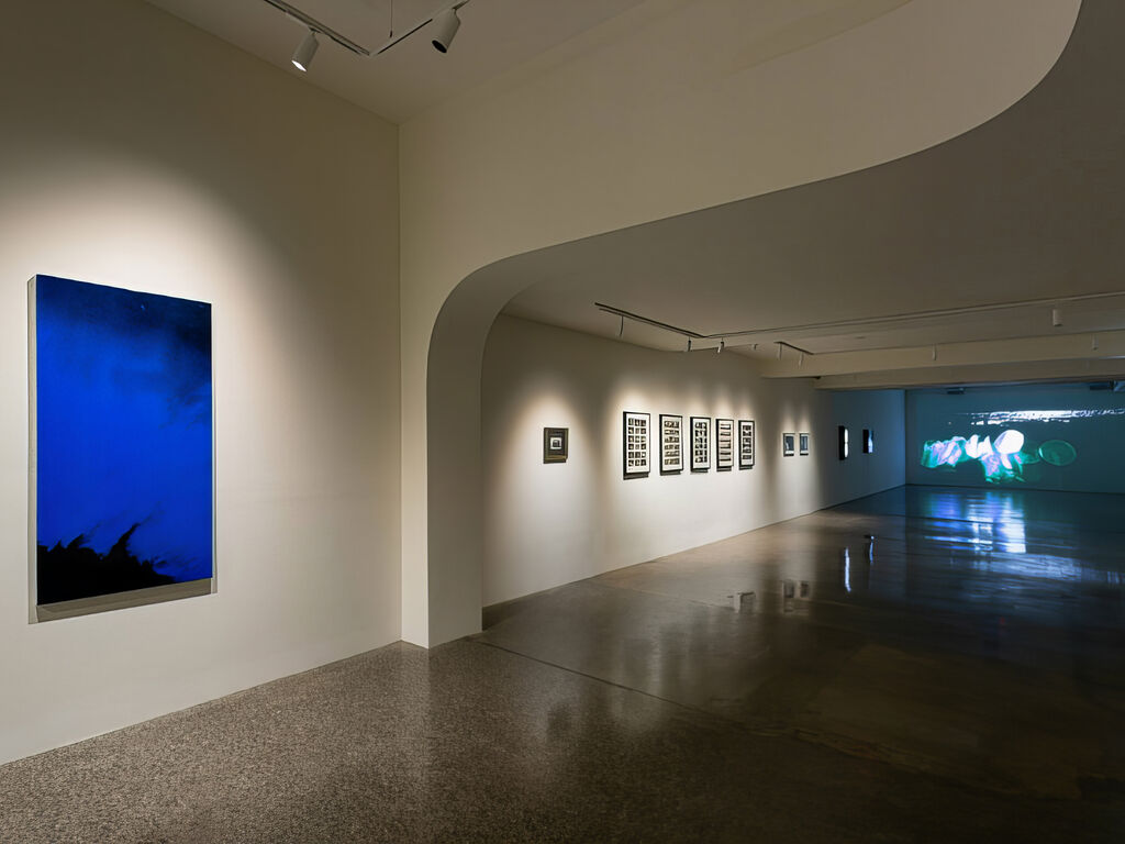 Project8 Gallery