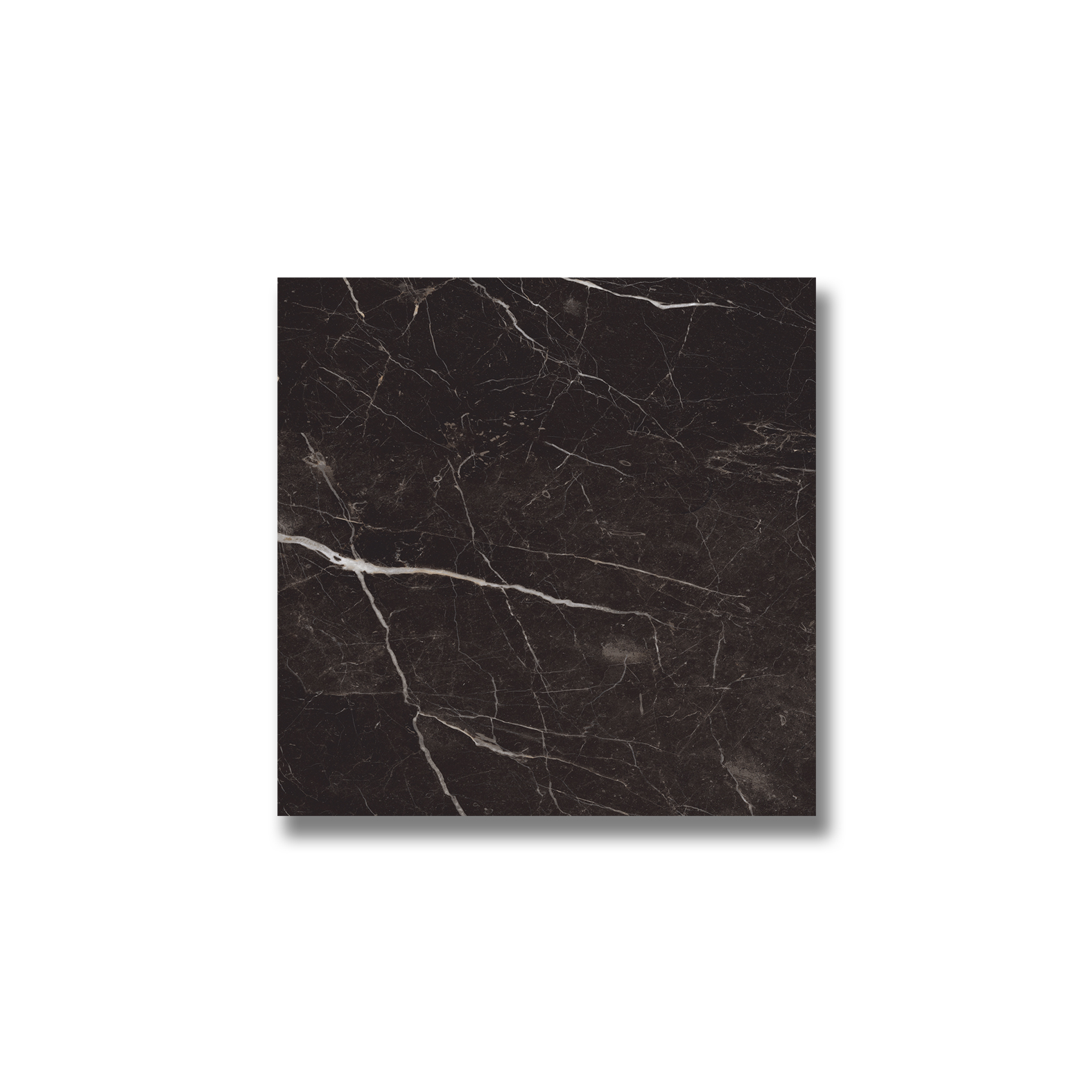 Elite 24" x 24" Dark Brown (N) Products AKDO Tile Dealers