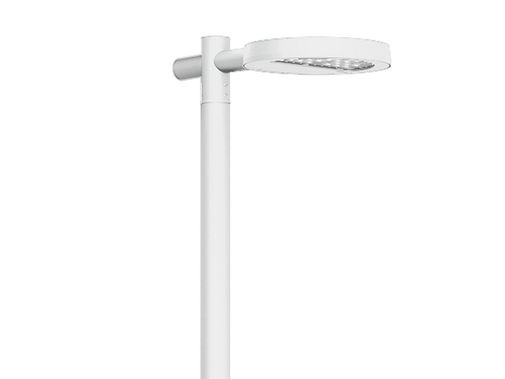 STEAMER 12 - Image 3